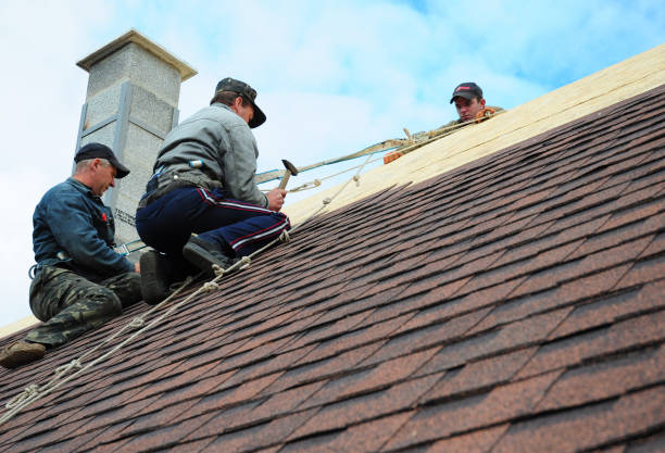 Best Roof Maintenance Services  in Gold River, CA